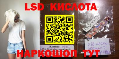 прущие грибы Тверь