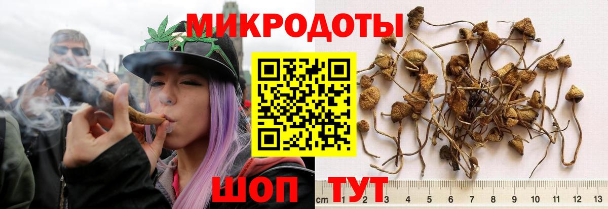 где купить   Вход с VPN  Новоалтайск  Псилоцибиновые грибы MAGIC MUSHROOMS 