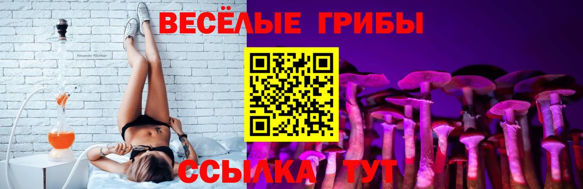 Галлюциногенные грибы GOLDEN TEACHER Новоалтайск